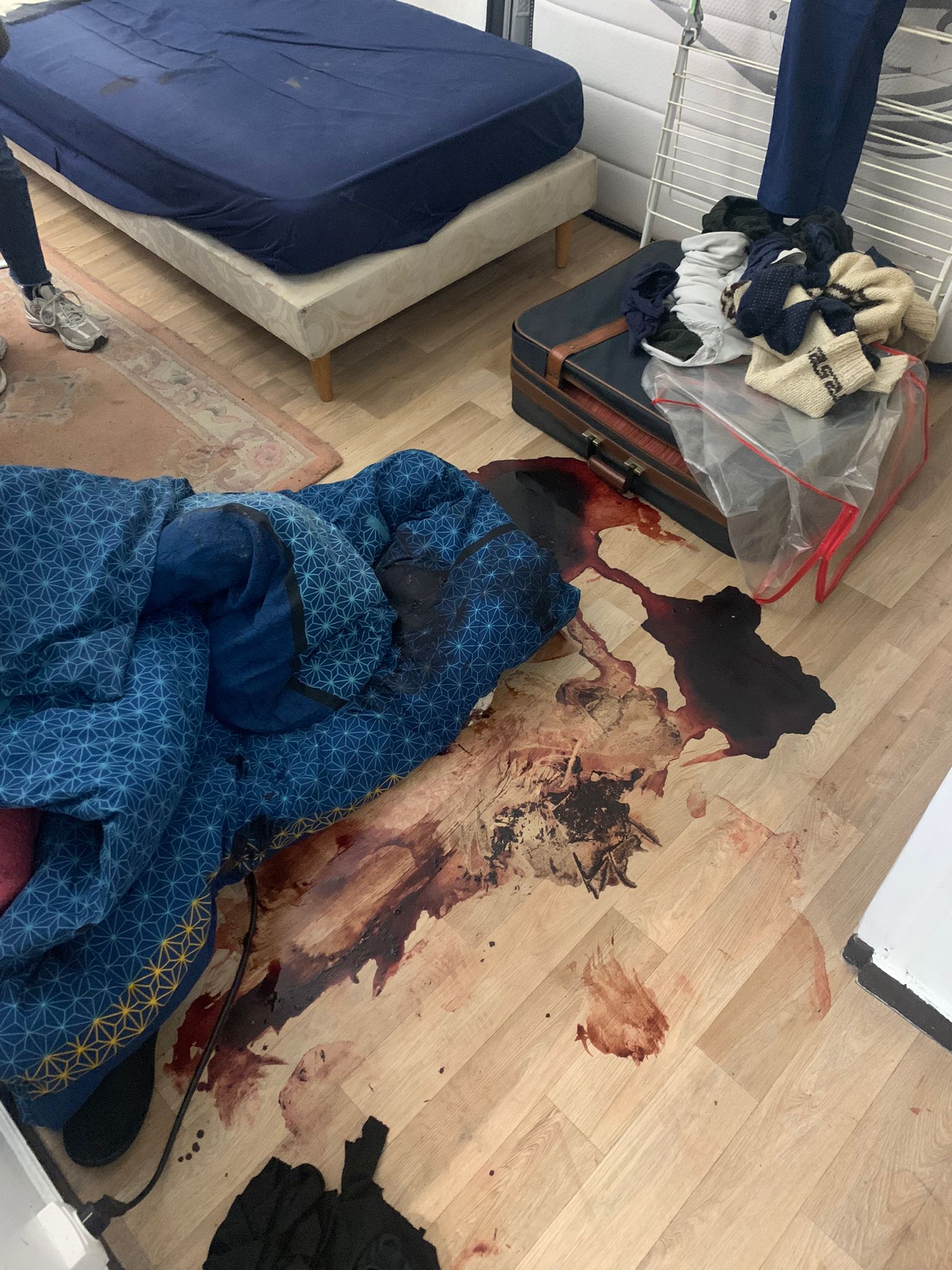 SOS DC : intervenir rapidement après un signalement de décès à Chelles et dans les environs WhatsApp Image 2024 11 11 A 13.15.01 961f2b7c