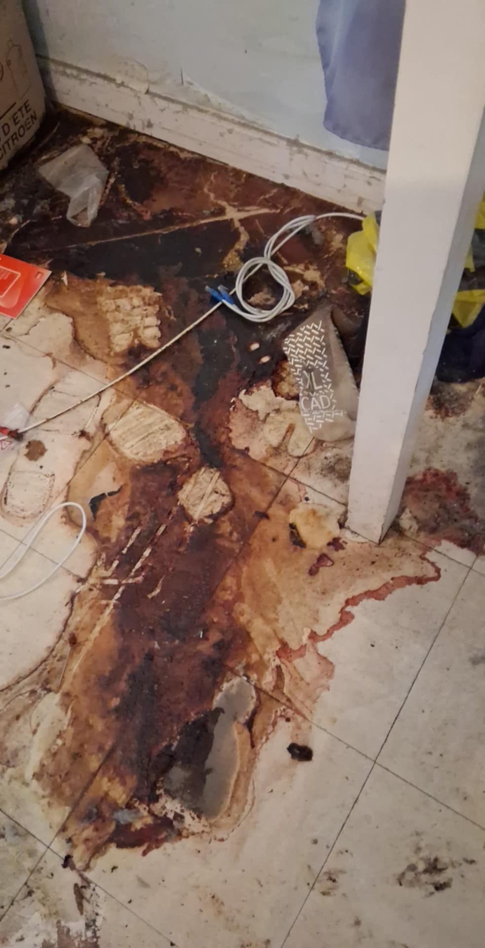 SOS DC et le diagnostic des lieux contaminés à Chelles : comprendre, agir et prévenir WhatsApp Image 2025 04 17 A 15.46.17 4b3920f9